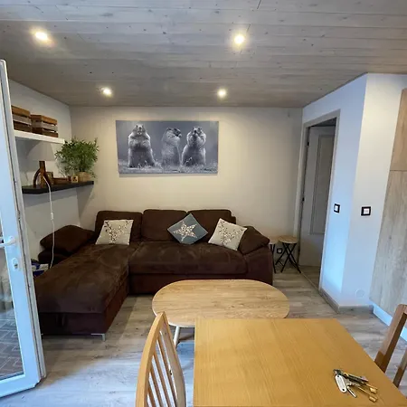 Le Picoulet : Appartement Tout Confort Coeur De Village Allos Exterior foto